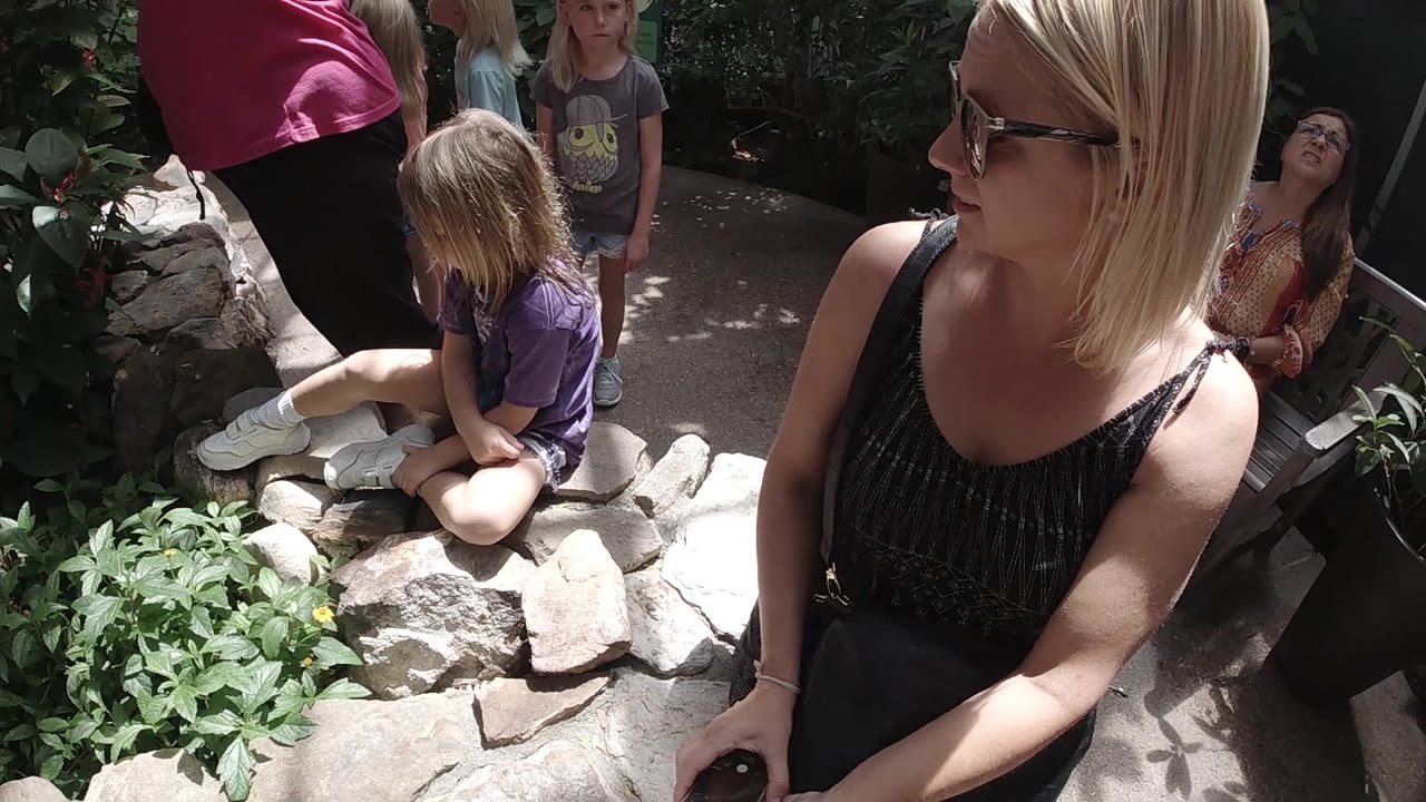 The woman turns toward the child on the rocks as sunlight cuts across the stone edge and leafy plants in the Colorado butterfly sanctuary.