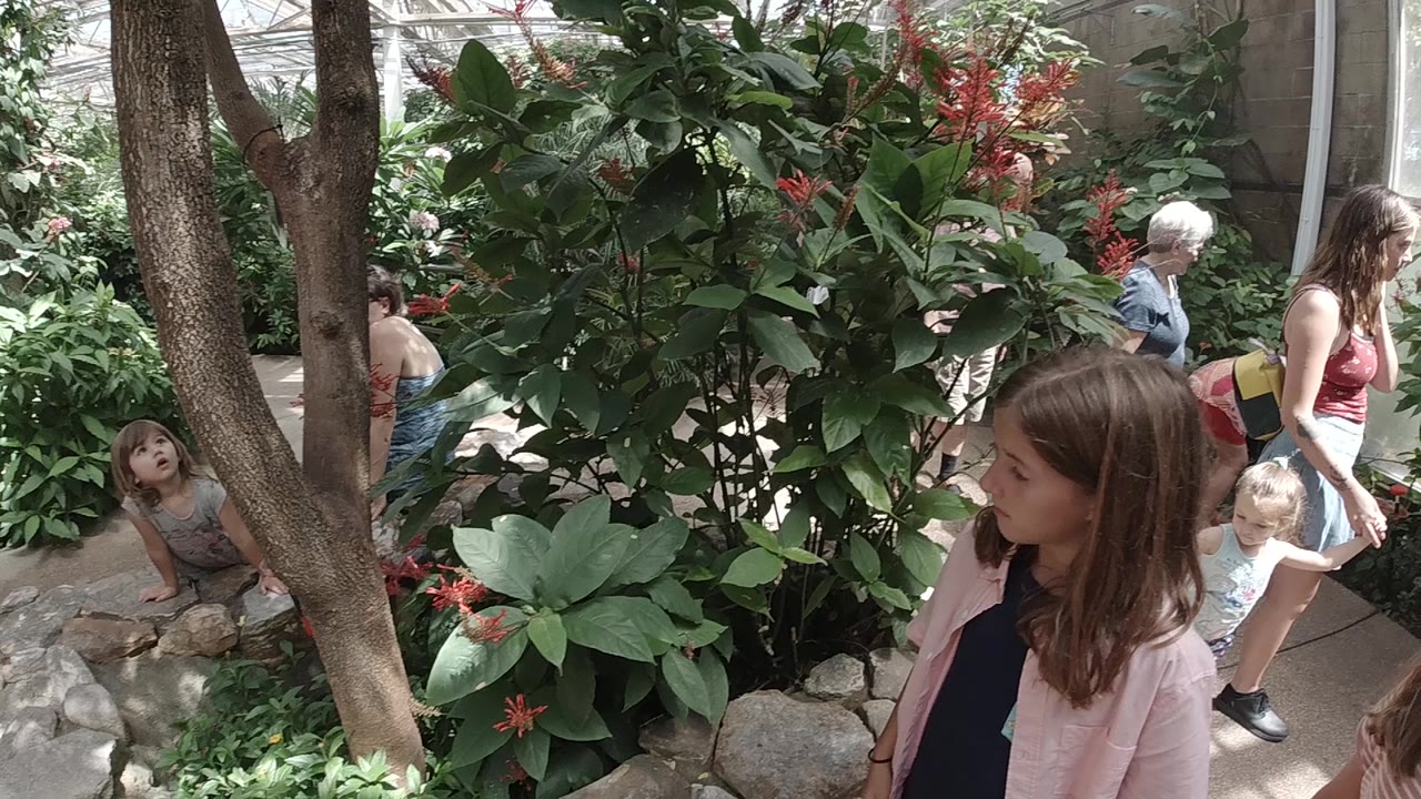 A young girl appears in the foreground while other visitors pass behind her on the path through dense foliage and red flowering plants in Colorado.