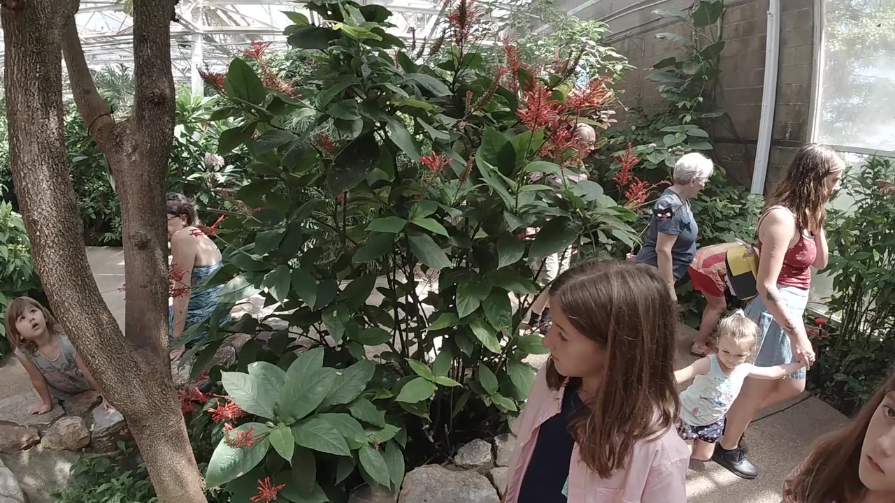 Woman and children walking past tropical foliage