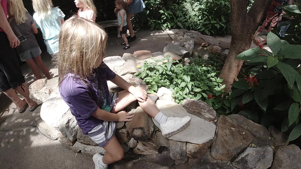 Blonde girl sits on rocks beside green plants