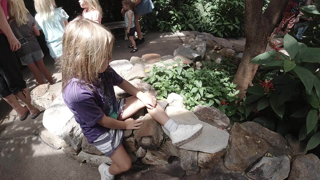 At 0:01, the seated girl remains in side profile with her hands near her knee, surrounded by light rocks, leafy planting, and partial bystanders.