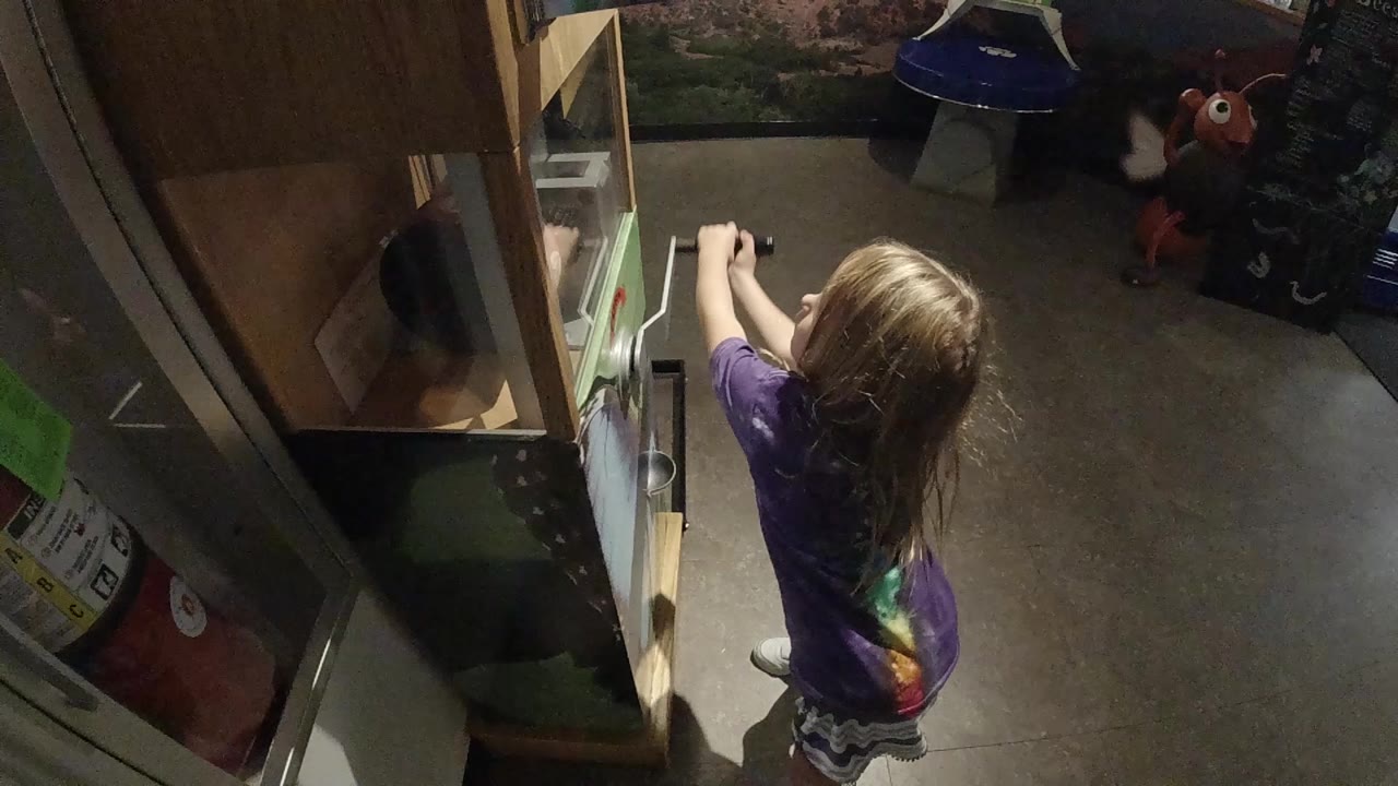 The girl leans slightly toward the refrigerator shelves with both arms forward in the overhead kitchen view.