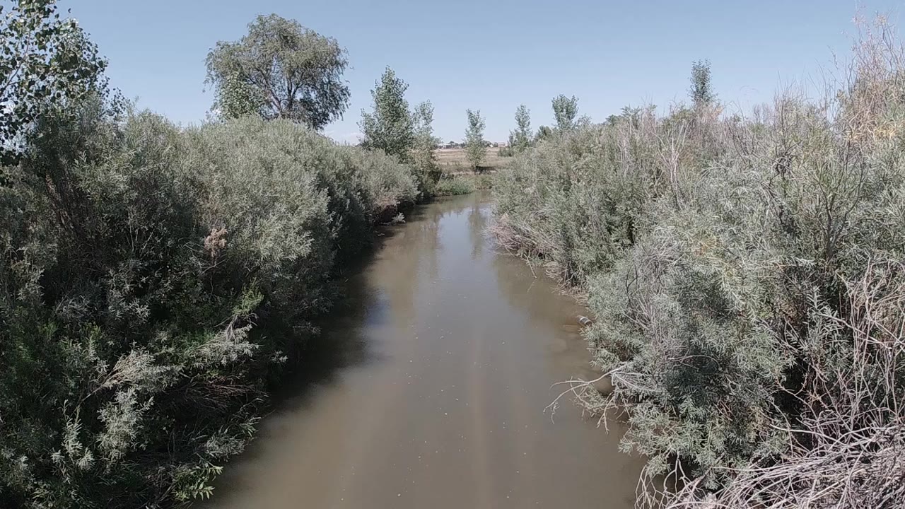 Aerial view of a calm brown river curving through dense tree canopy under a pale blue sky