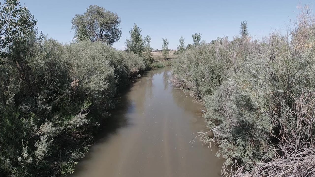 Aerial drone view of a brown river corridor flanked by silvery-green deciduous trees in Colorado, pale sky at the upper frame edge, no visible people