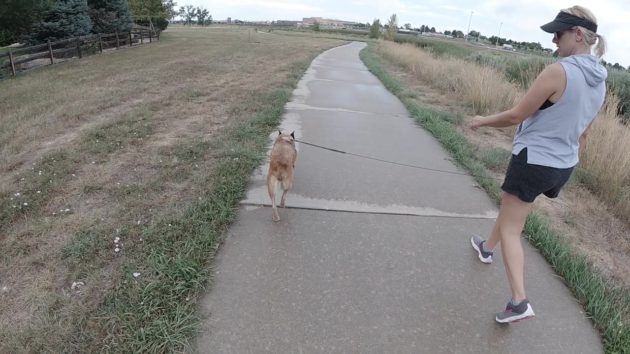 In Denver, the dog walks ahead on the leash while the woman keeps pace at frame right beside a paved path and dry field grass.
