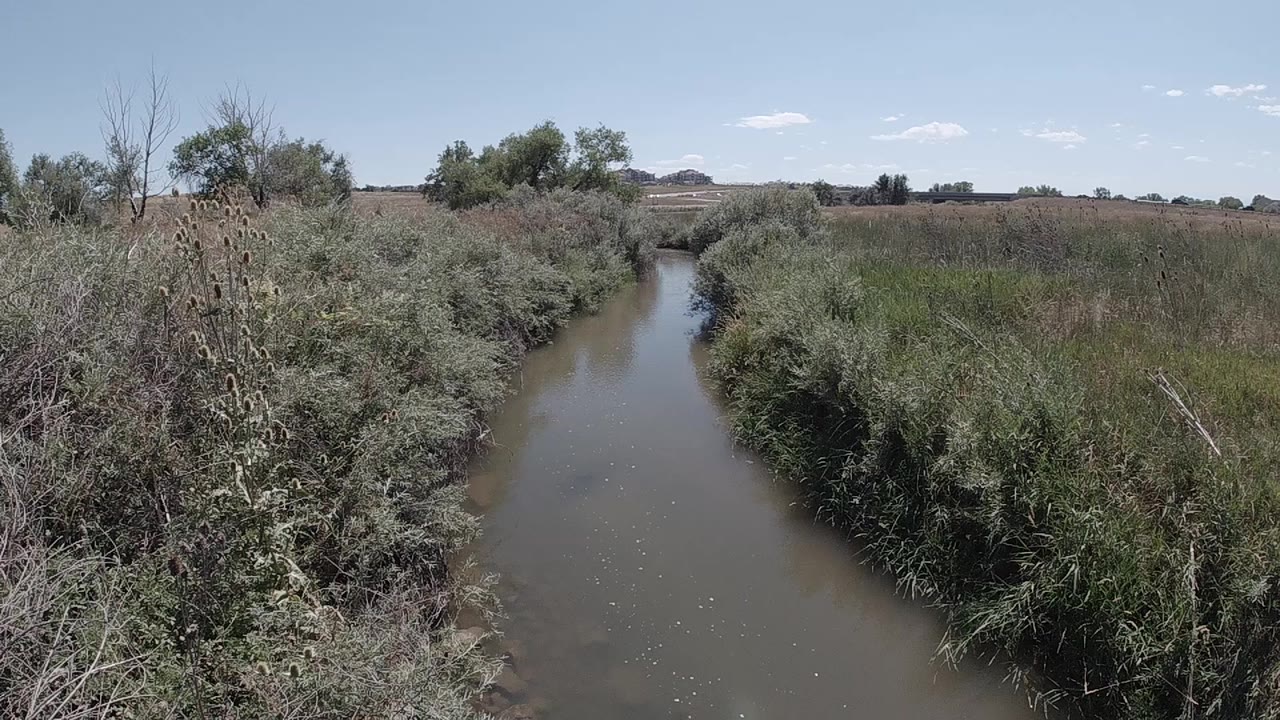 Opening view of a narrow muddy stream in Denver running between gray brush and tall green grass, with distant trees and no visible people.