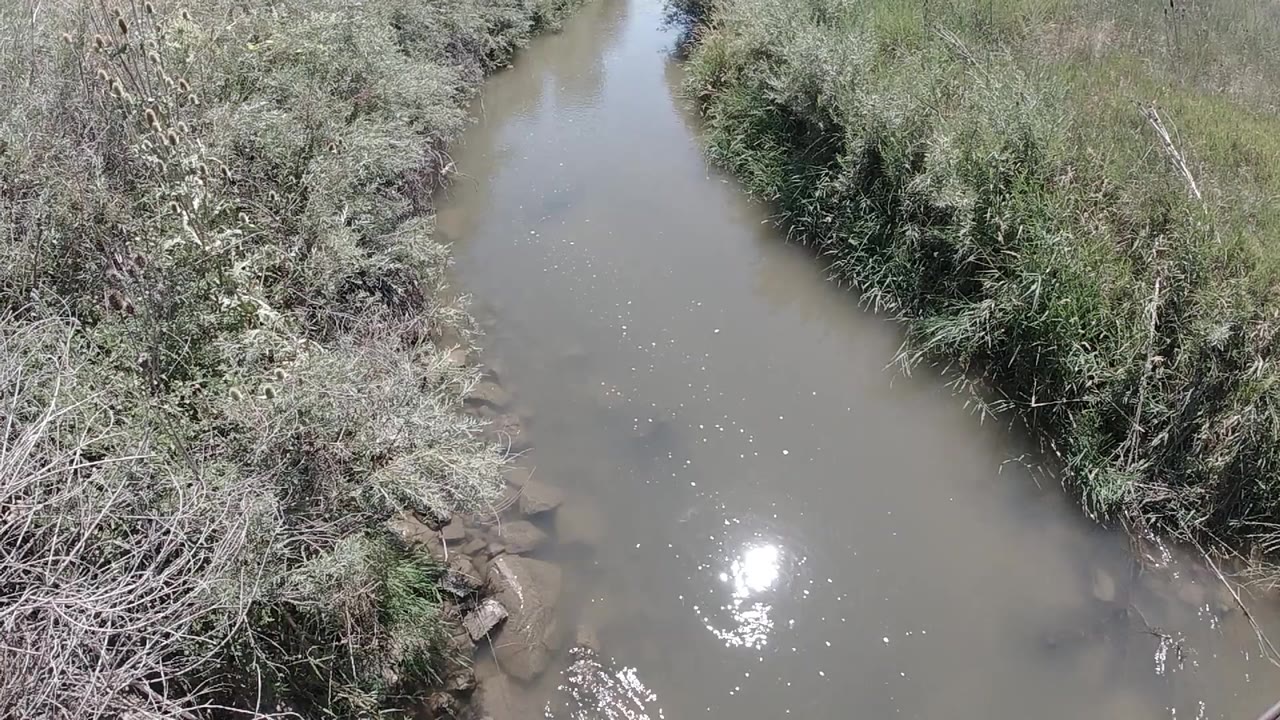 Overhead frame of a brown-green Colorado creek bordered by dense brush, with a bright sun reflection near the lower center and no visible people.