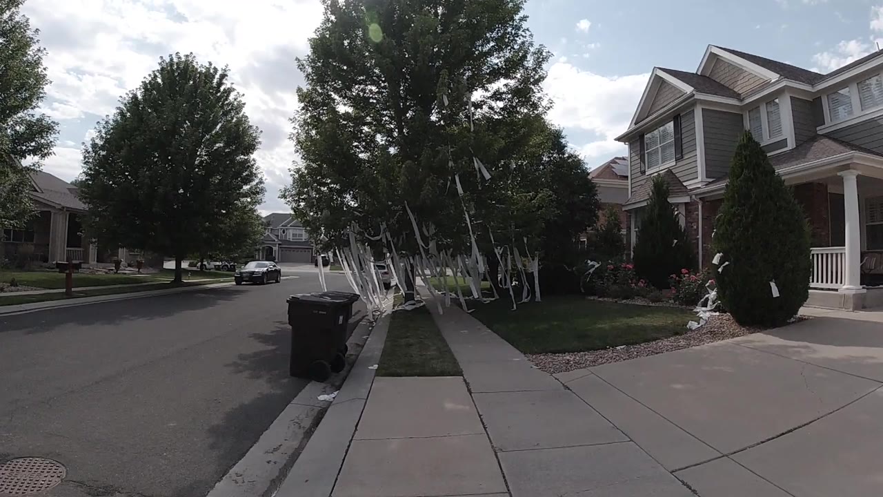 Opening Colorado frame shows a sidewalk, black curbside bin, residential street, parked car, private homes, and a large tree draped with white papers, with no visible people.