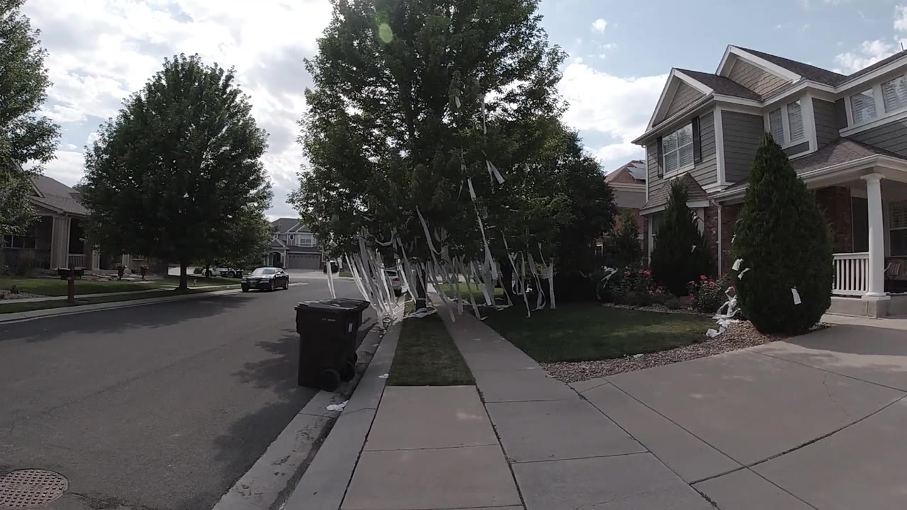 Colorado sidewalk view holds on the black trash bin at the curb, with white papers hanging from the center tree and two-story homes lining the right side, no visible people.
