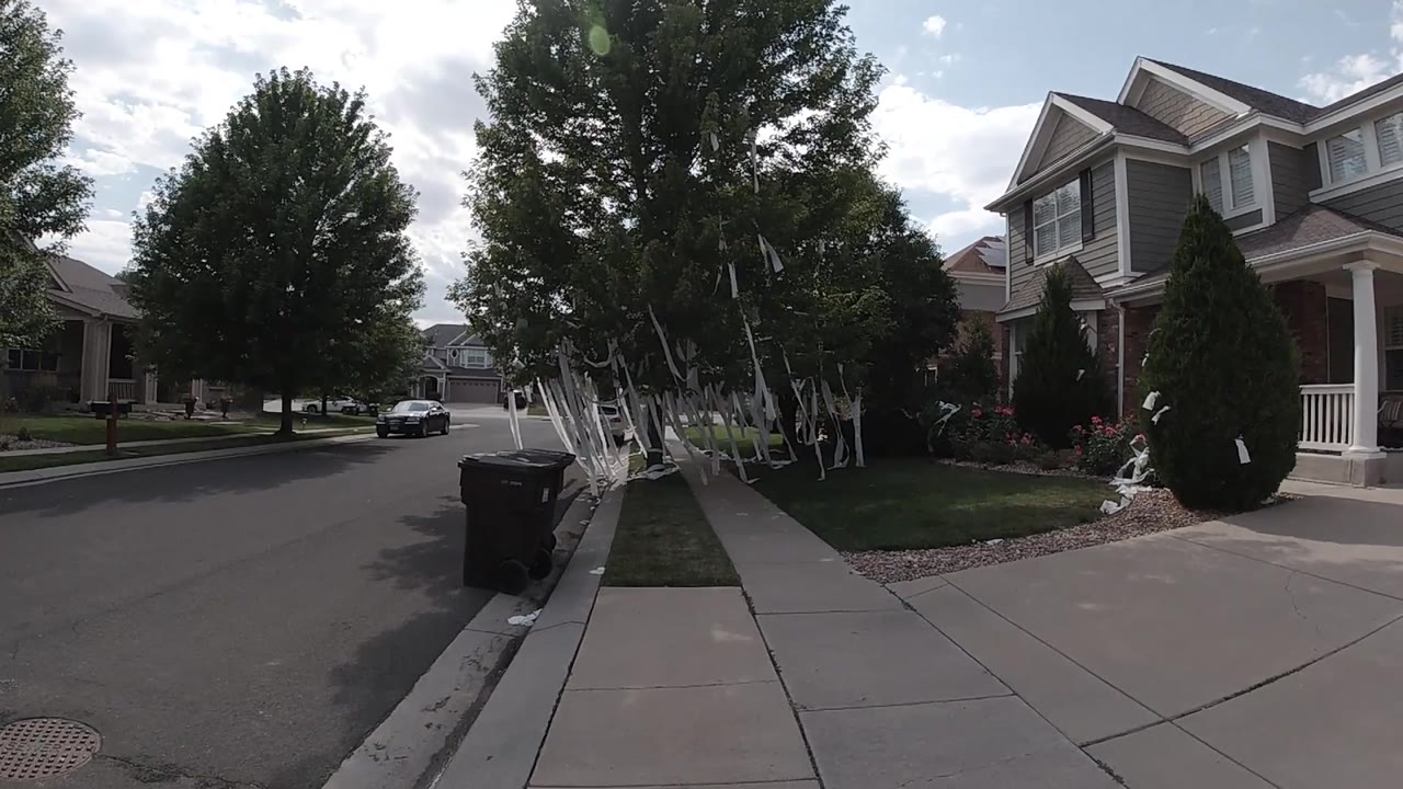 Residential street with paper-covered tree and houses