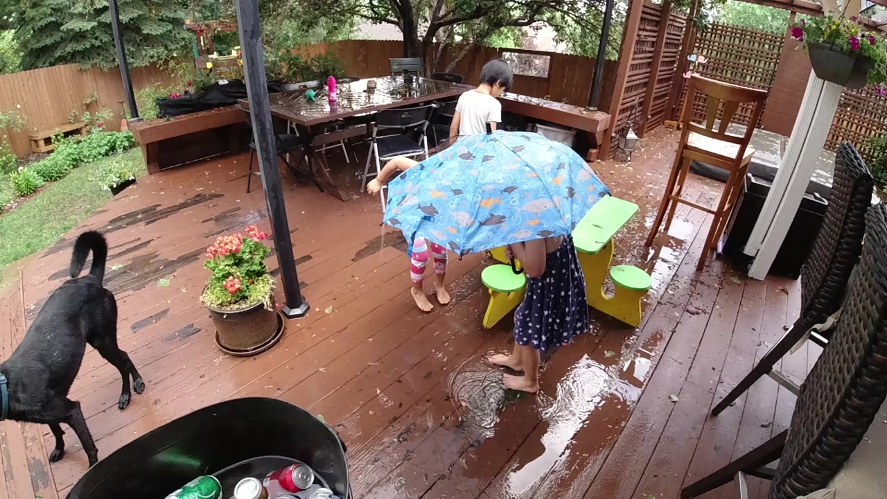 A black dog stands at the left edge of a wet wooden deck while children gather under a blue patterned umbrella near a green bin and outdoor furniture.
