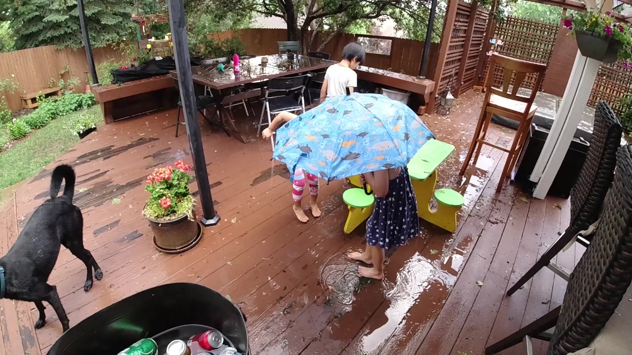 Children under umbrella beside black dog on wet deck.