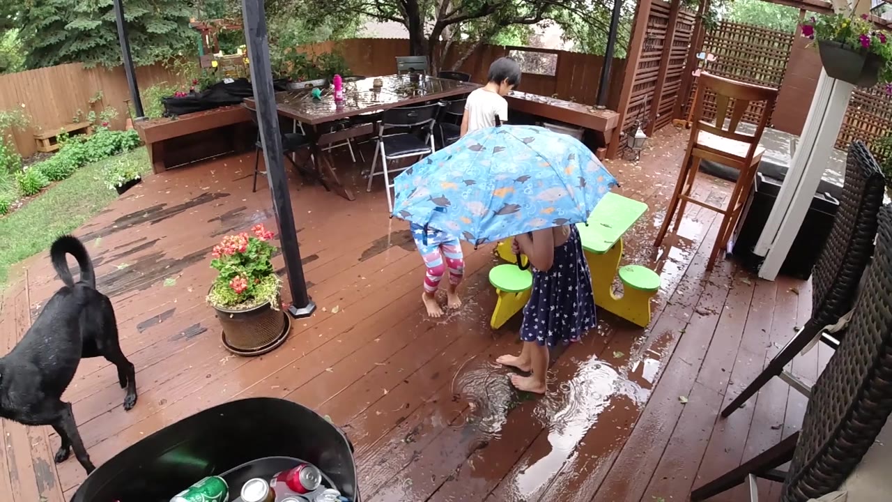 Children under the wide blue umbrella stand near a bright green bin while the black dog steps along the left side of the rain-wet deck.
