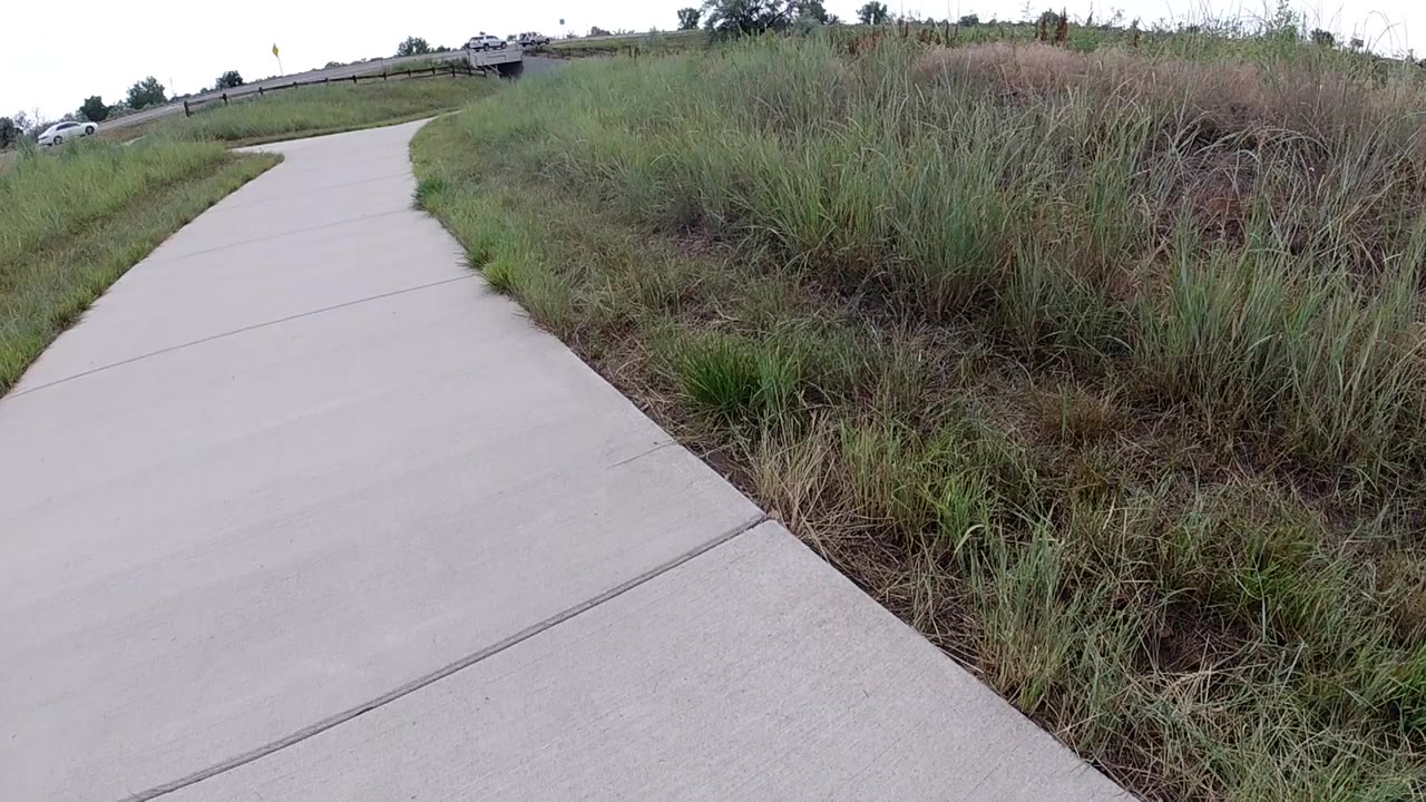 Opening frame shows a pale concrete sidewalk curving left beside tall overgrown grass, with a low horizon and no visible people.