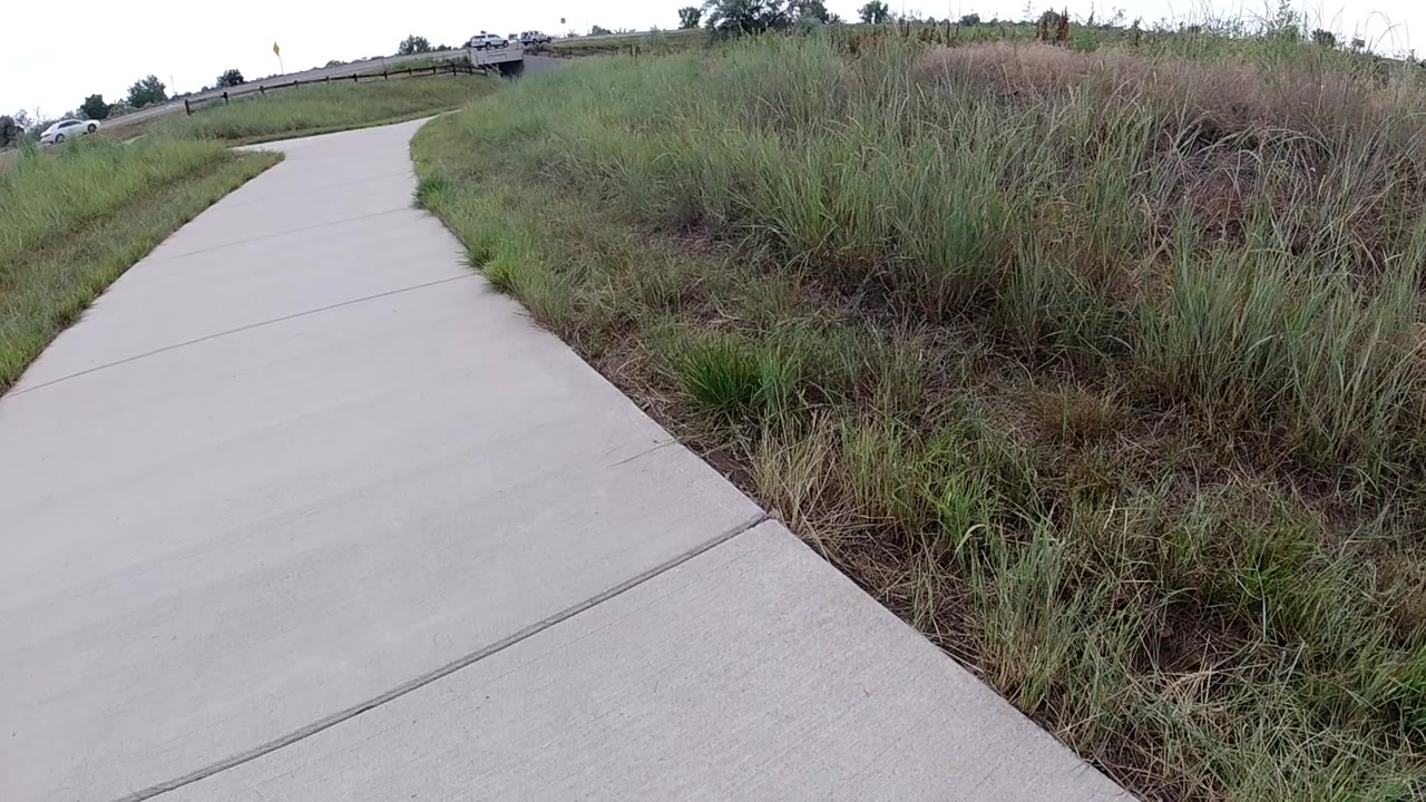 The sidewalk bends away through tall green and brown grass, with the path occupying the left foreground and no visible people.
