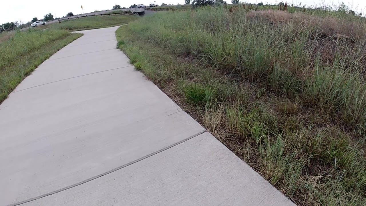 A concrete path leads into the distance while dense grass fills the right side of the frame, with no visible people on the sidewalk.