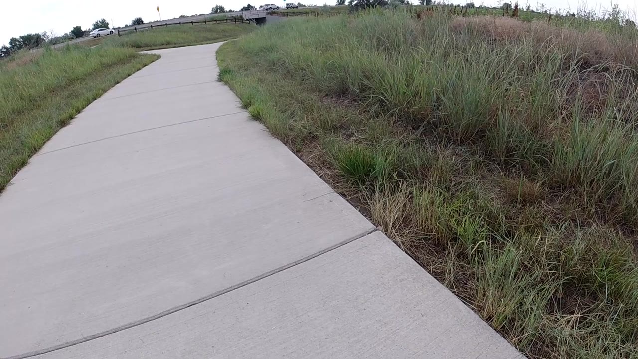 Sidewalk panels beside overgrown grass