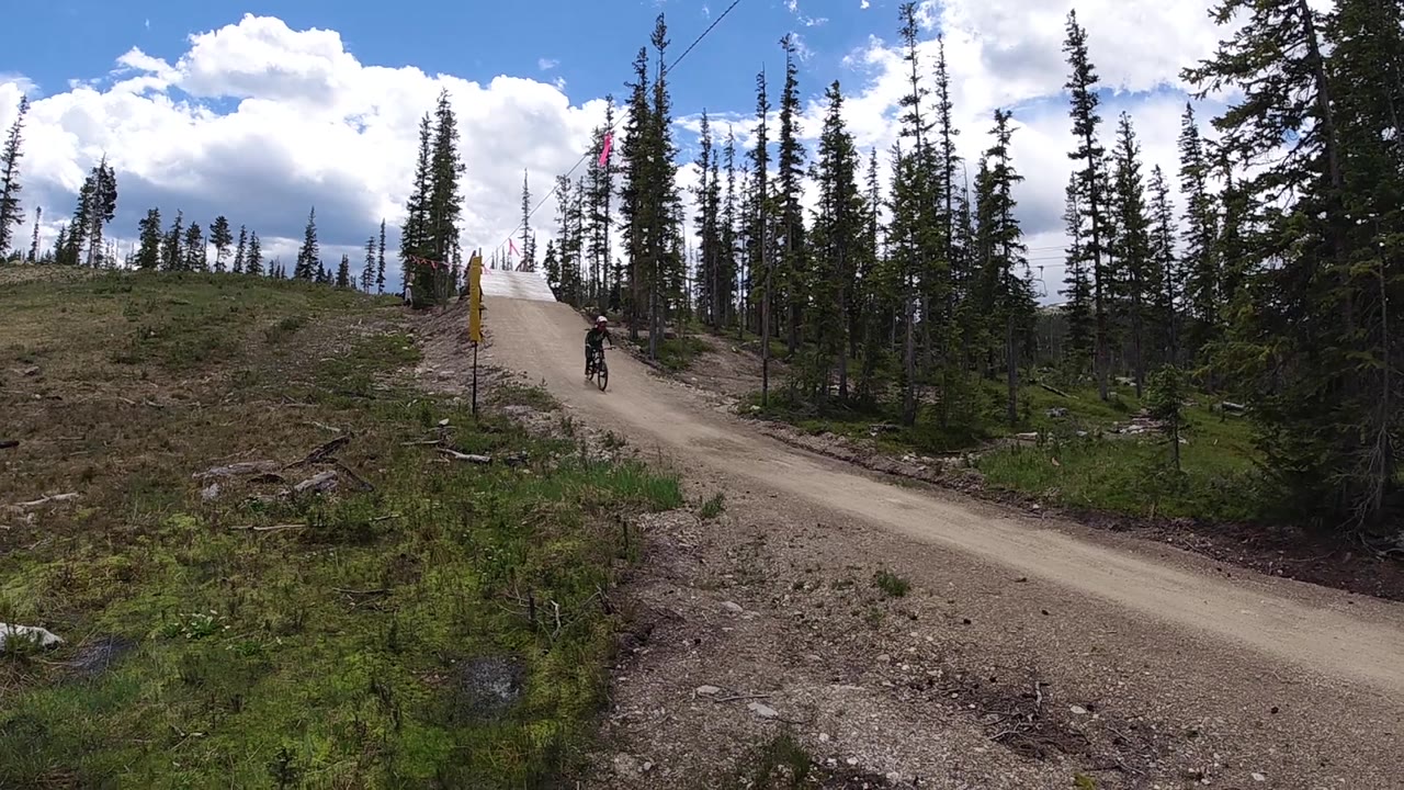 A helmeted biker descends the road through the clearing, with a small yellow trail marker visible beside the path.