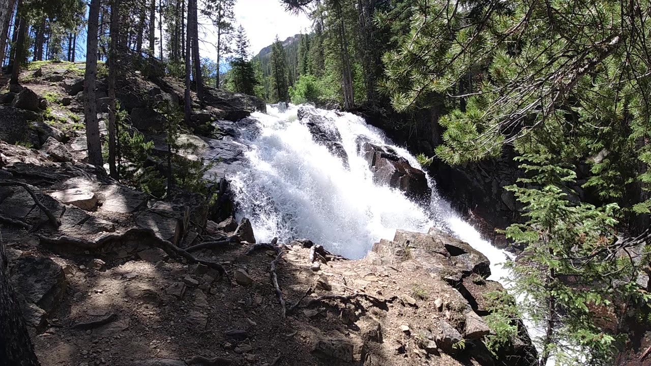 White waterfall below tall trees and rocky ground.
