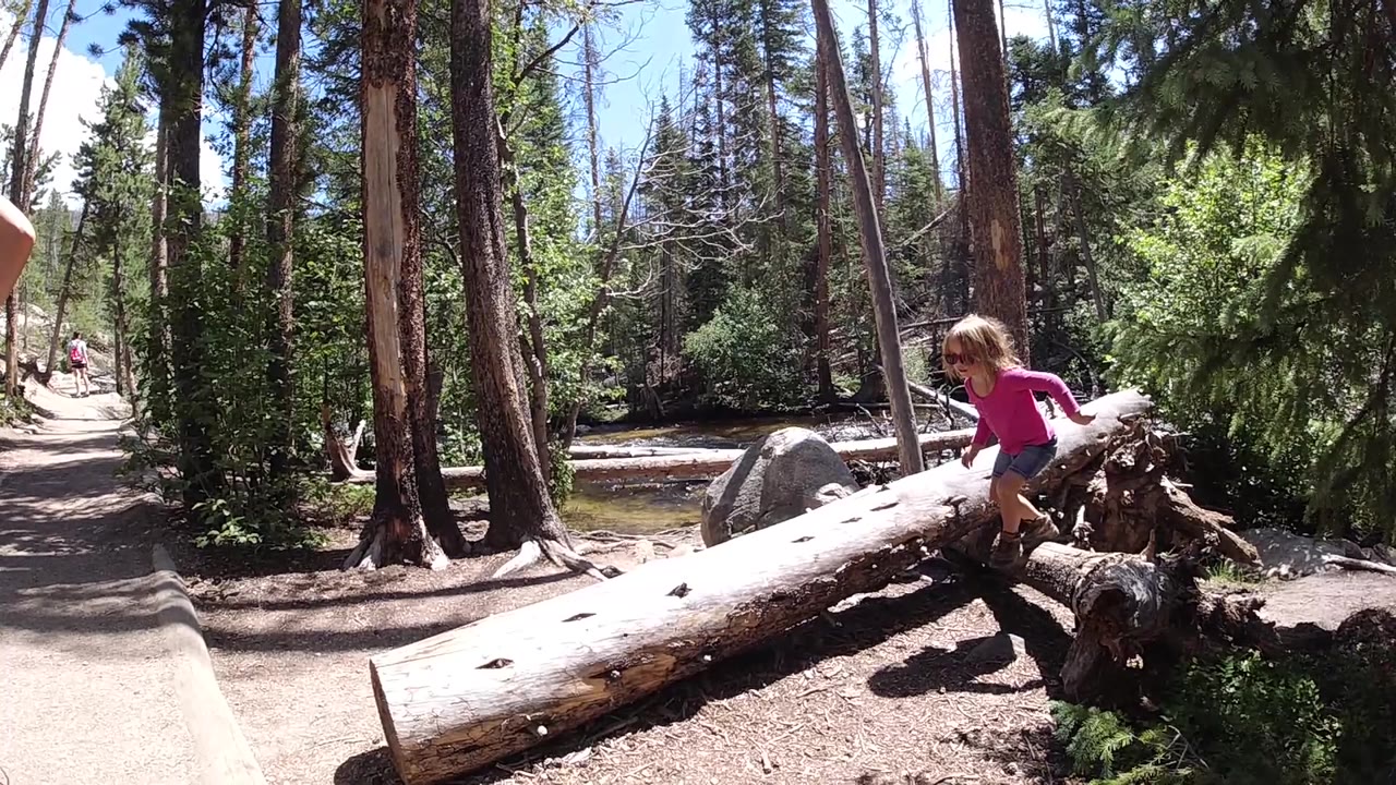 The girl remains seated on the log with one hand near the trunk, framed by sunlit trees, a boulder, and low forest greenery.
