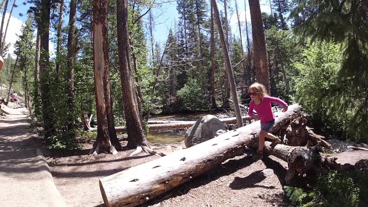 A child in a bright pink top sits on the pale fallen trunk while the dirt path curves past trees and rocks in the background.