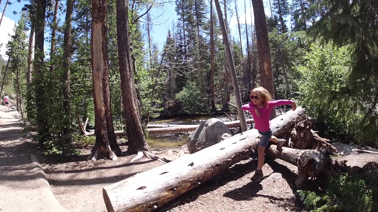 Girl standing beside a fallen log in the woods.