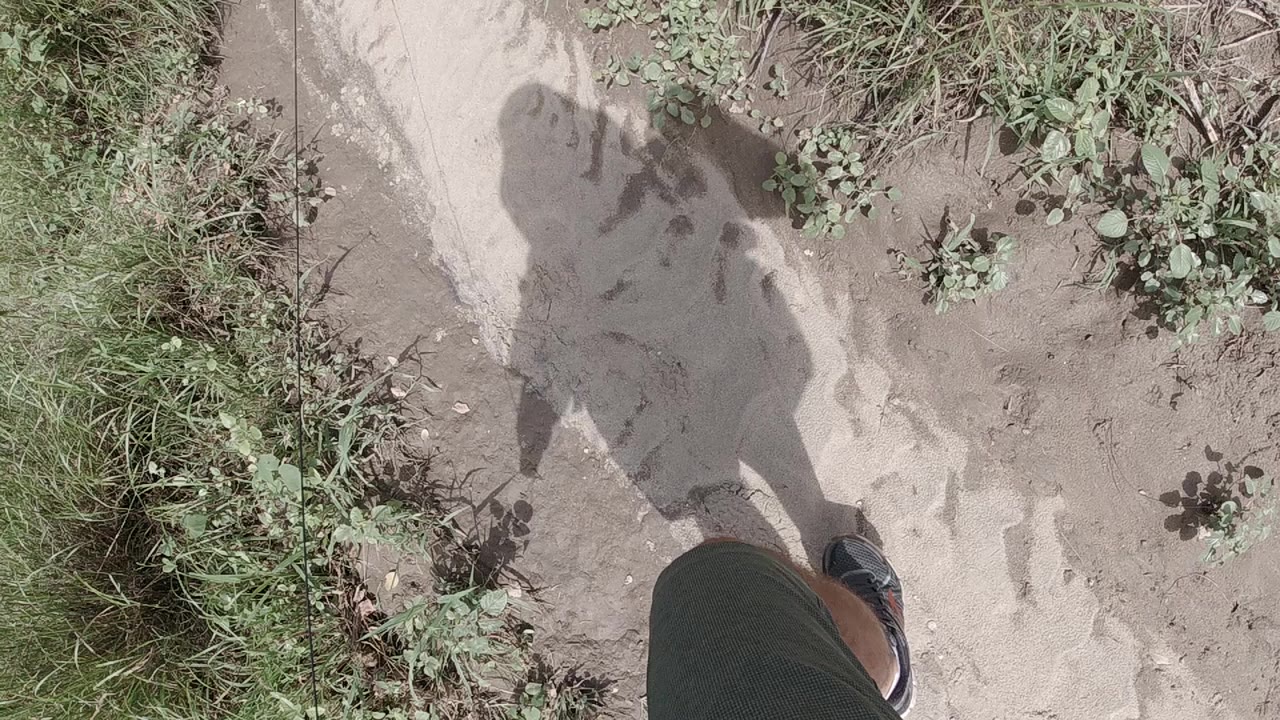 A steep downward view shows a person's lower legs and dark shadow falling across a pale sandy path bordered by grass and low plants.