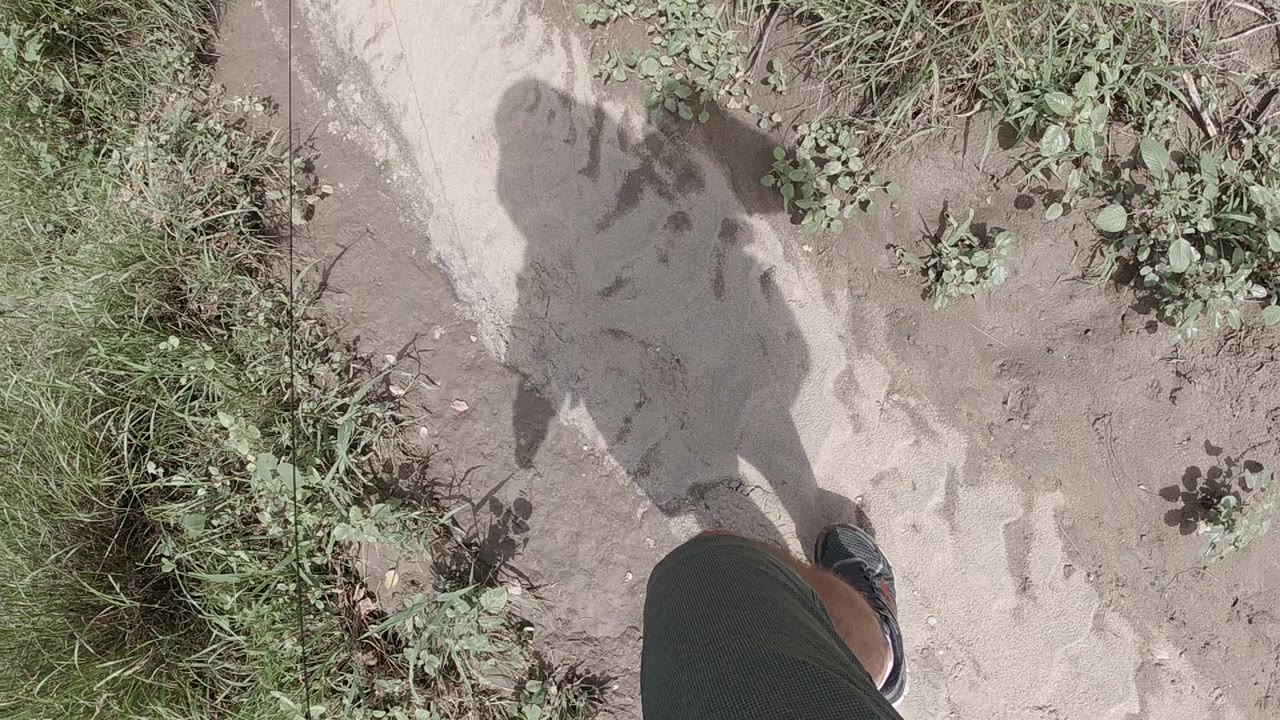 A lower leg and shoe enter the bottom of the frame while a human shadow stretches across sand, dirt, and scattered small plants.