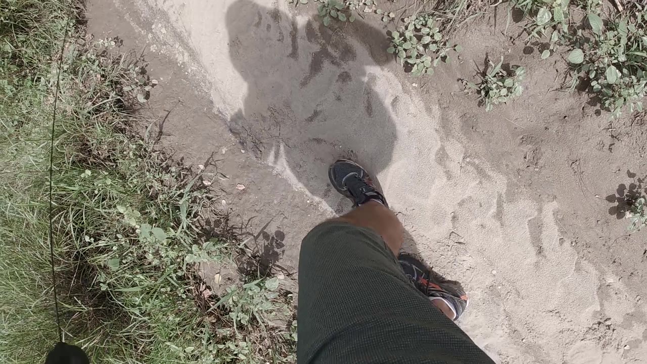 The camera looks down at a foot, shorts, and a bold shadow over pale sand, with tufts of grass and low vegetation on both sides.