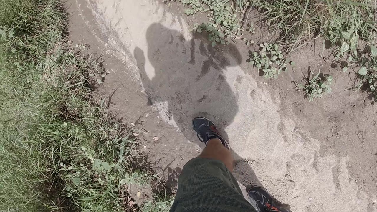 Shoe and human shadow on a sandy trail edge.