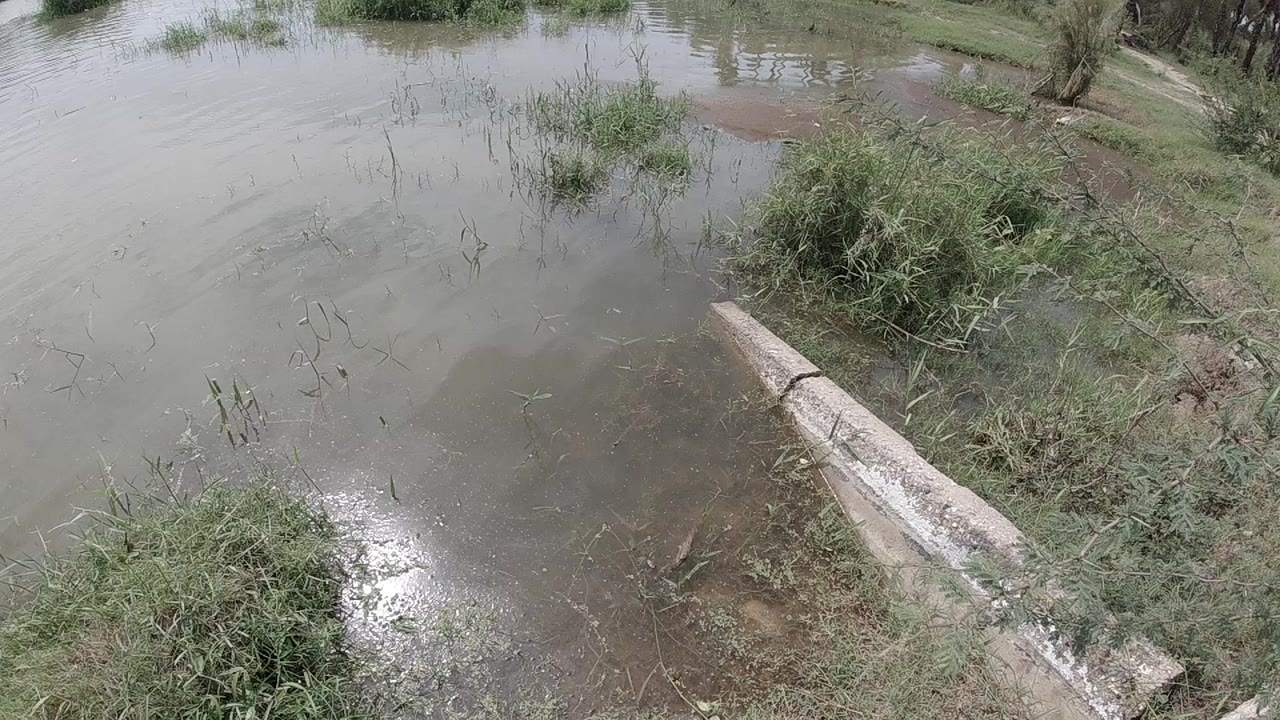 Aerial oblique view of a wooden bench fully submerged in murky brown flood water, green shrubs and grass on the right bank, no visible people.