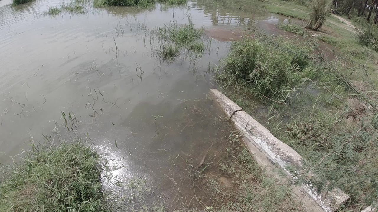 Aerial view of a wooden bench submerged in murky flood water, green shrubs and grass on the right bank, no visible people.