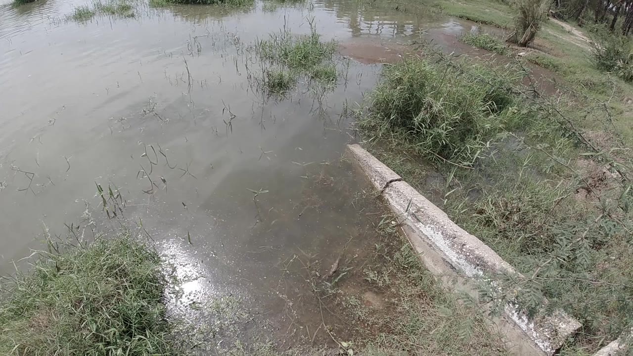 Aerial view of flooded ground with a wooden bench submerged in brown water, green shrubs on the right bank, no visible people.