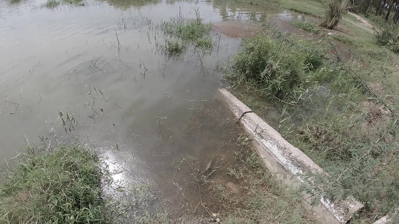 Oblique aerial view of a bench in muddy flood water, green grass and shrubs on the right bank.