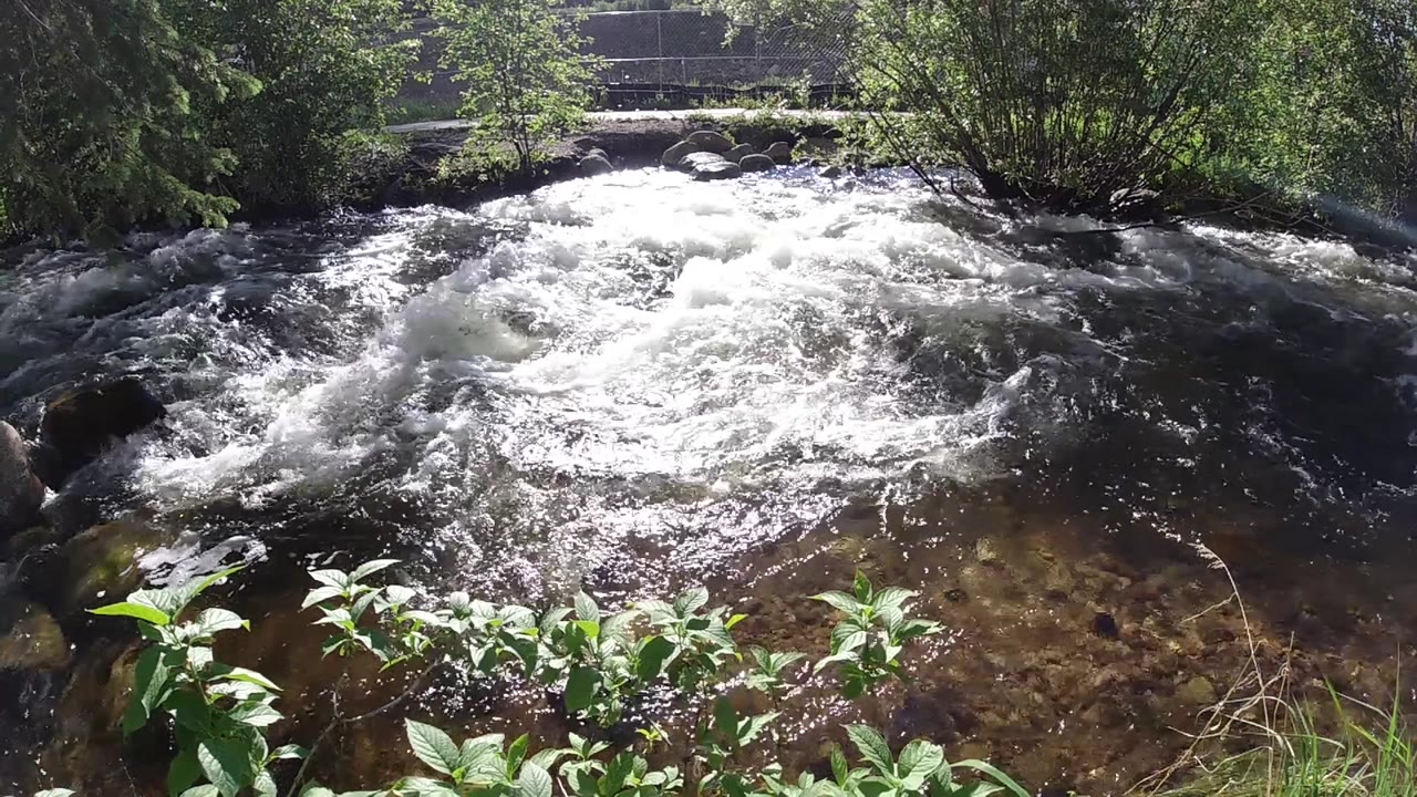 A bright patch of whitewater rolls through the middle of a shaded wooded stream with brown shallow water below and no visible people.