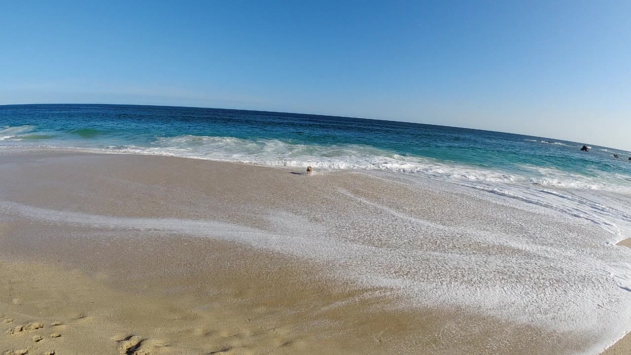 Wide aerial shot of an open sandy beach with white-foam waves breaking along the waterline and a clear blue sky above the ocean horizon, no people visible.