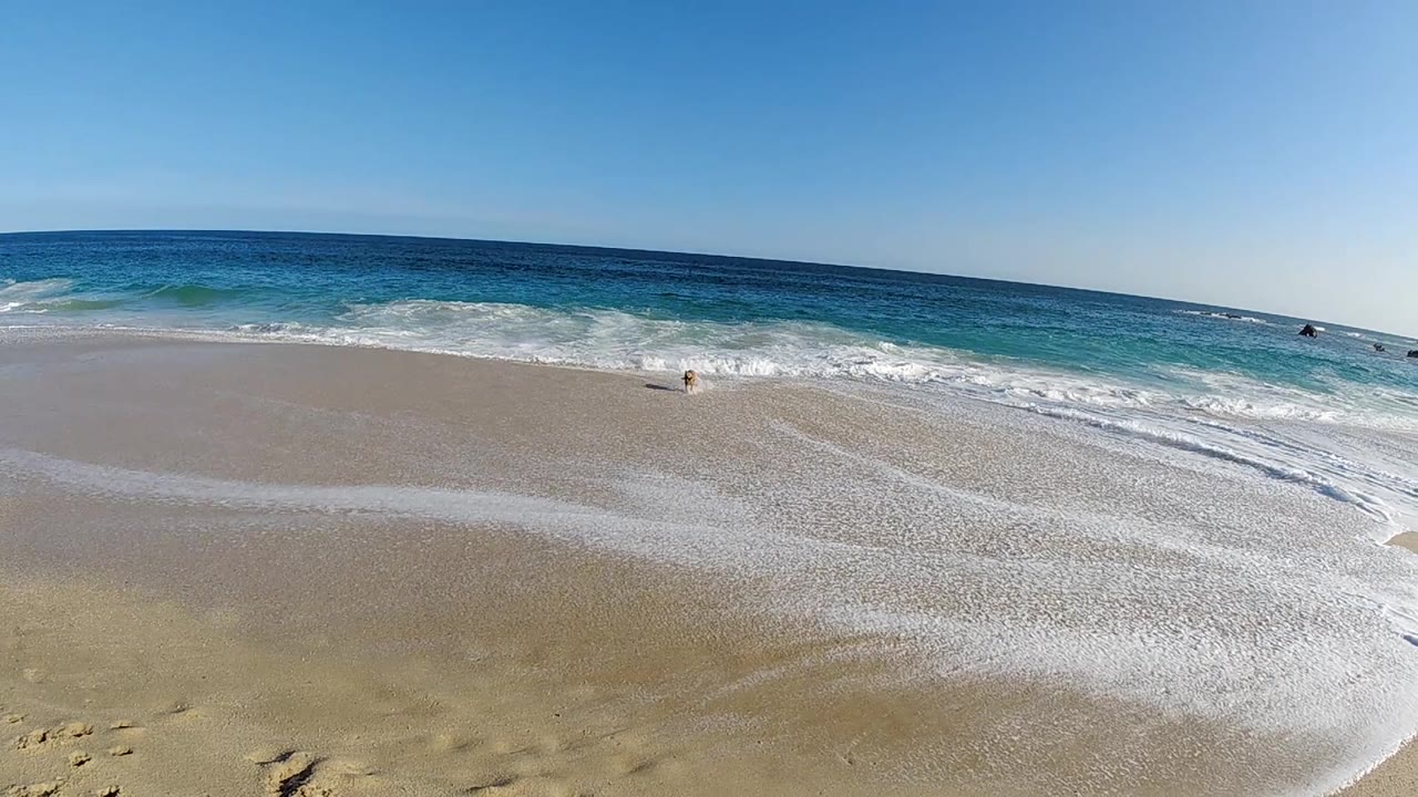 Aerial view of a wide sandy beach with white-foam wave break along the shore and clear blue sky above, no people visible.