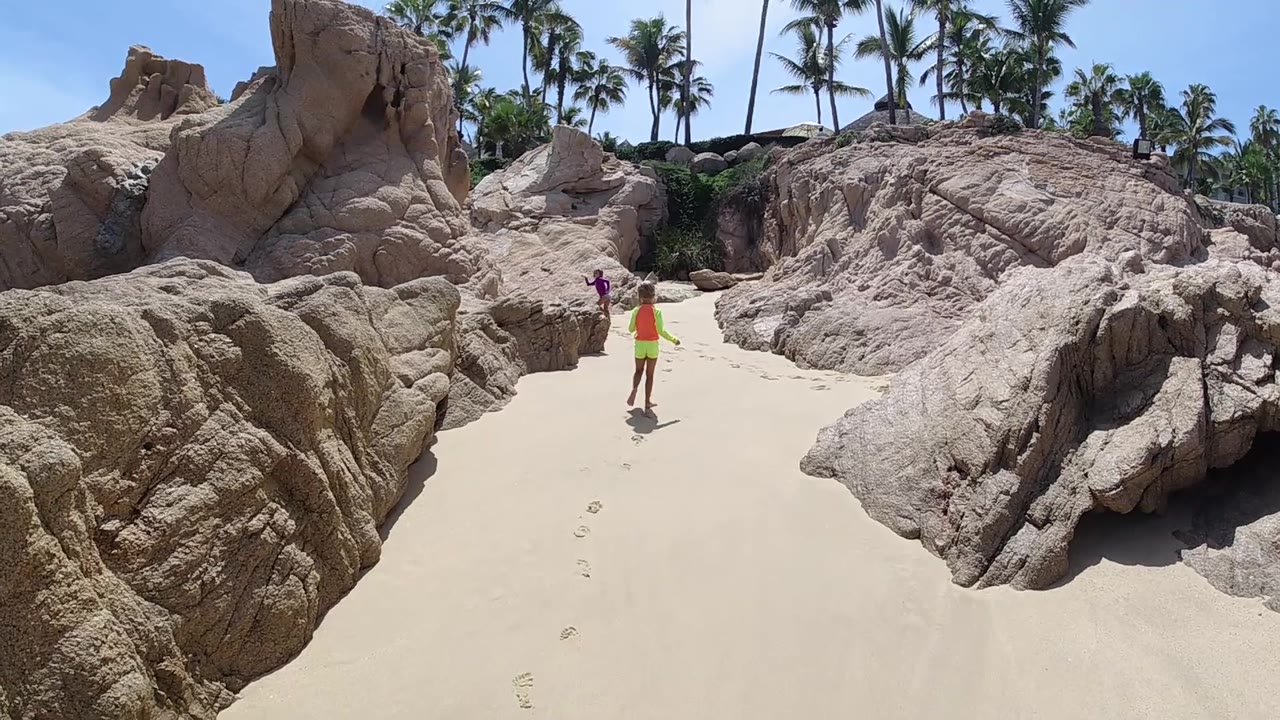 Aerial view of rocky beach with large tan rocks, lone figure in yellow-orange clothing visible, palm trees in background.