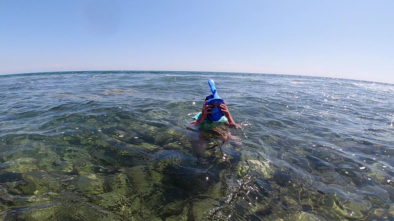 Snorkeler floating away in shallow clear ocean water.