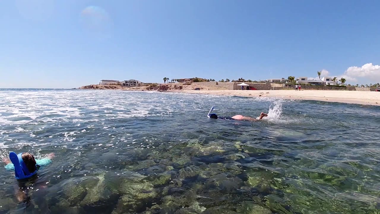 A snorkeler splashes at right of center while a second person stays partly visible at the lower left in clear Los Cabos shoreline water.