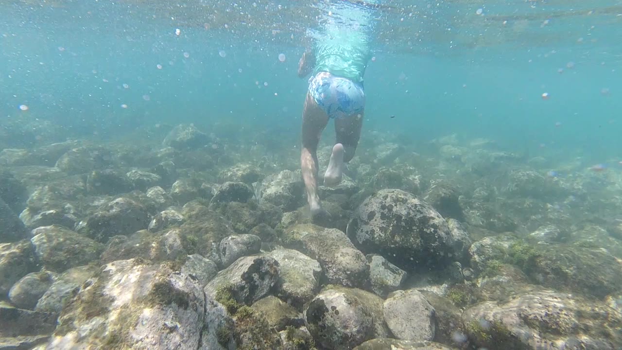 Underwater opening frame shot in Los Cabos, Mexico: a swimmer in blue shorts is visible in the upper portion moving above large rounded rocks on the seabed; no fish or coral present