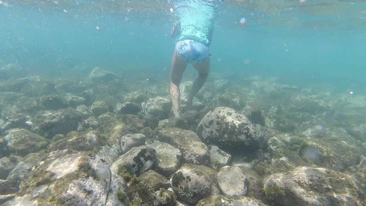 Underwater frame from Los Cabos, Mexico: swimmer's lower body and legs in blue shorts visible in the upper portion of frame, large rounded rocks line the seabed below, no fish or coral visible