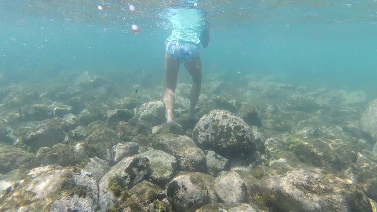 Underwater swimmer in blue shorts moving with arms and legs extended above a rocky floor