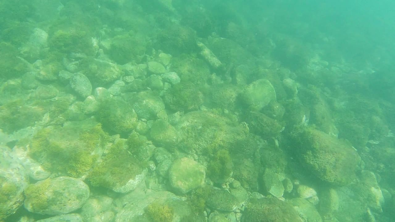 Turquoise underwater view in Los Cabos, Mexico, with rounded rocks and faint algae on the seabed, no visible people.