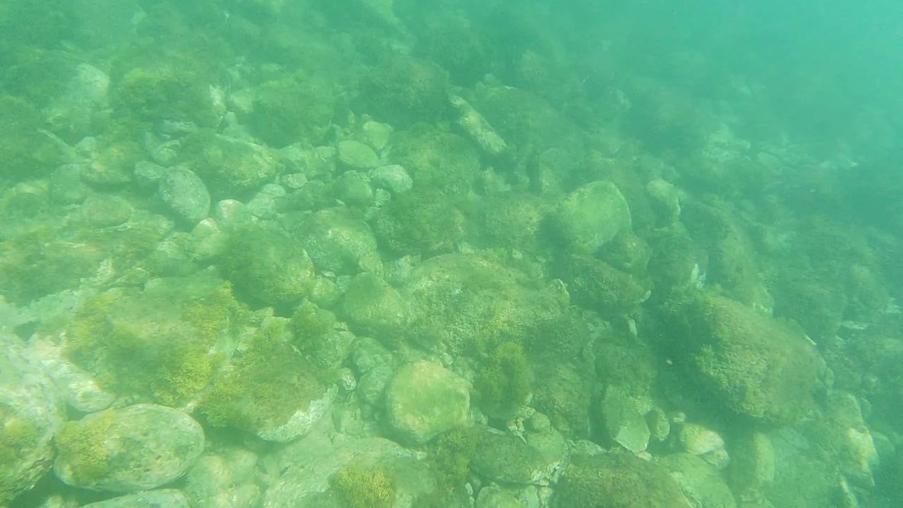 Green-blue underwater frame in Los Cabos, Mexico, showing a cluster of pale and dark rocks across the seabed, no visible people.