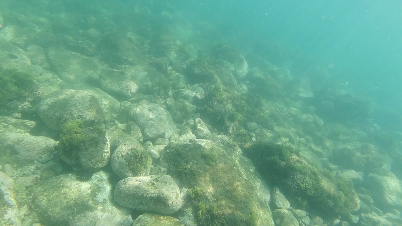 Large pale boulders and green algae on the seafloor in Los Cabos, Mexico, seen through clear teal water with diffused sunlight from above; no visible people.