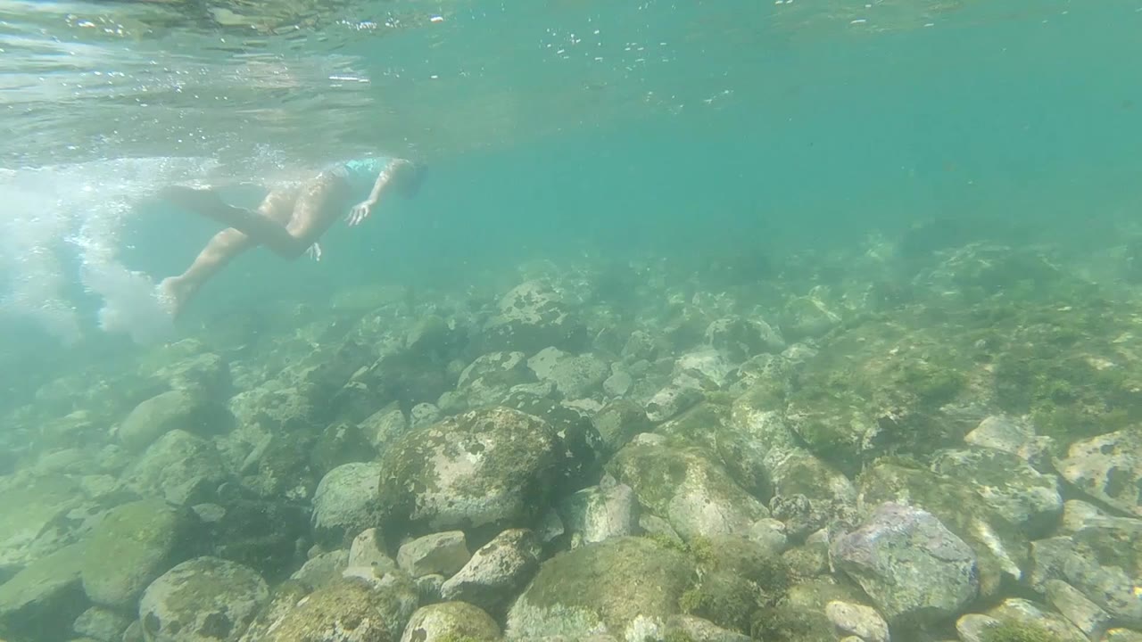 White shape at frame left, possibly a person's arm or body in light swimwear, rocky algae-covered seafloor in background, teal water