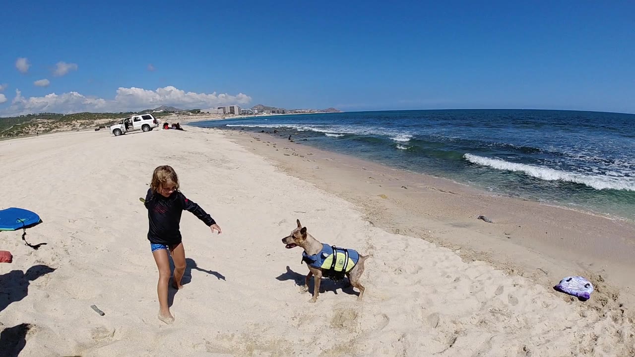 Girl and small dog on a sandy beach near blue surf.