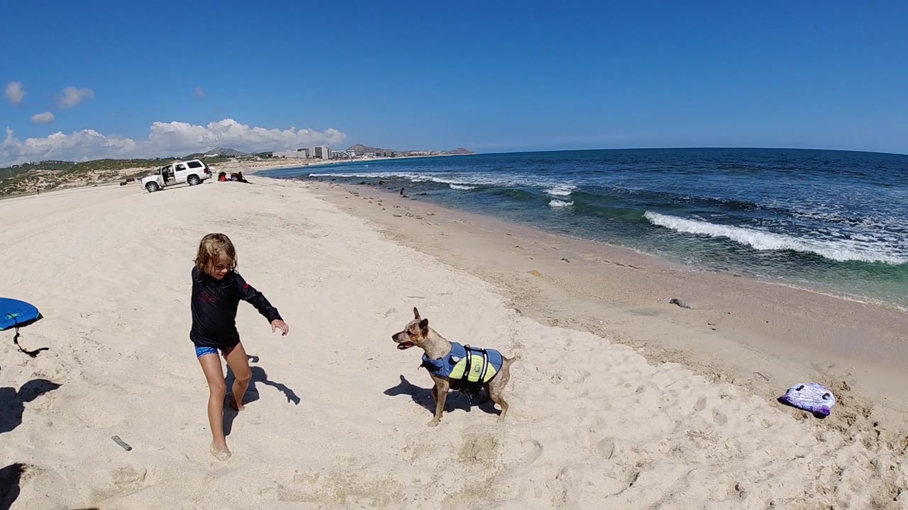Girl and dog face each other on the beach.