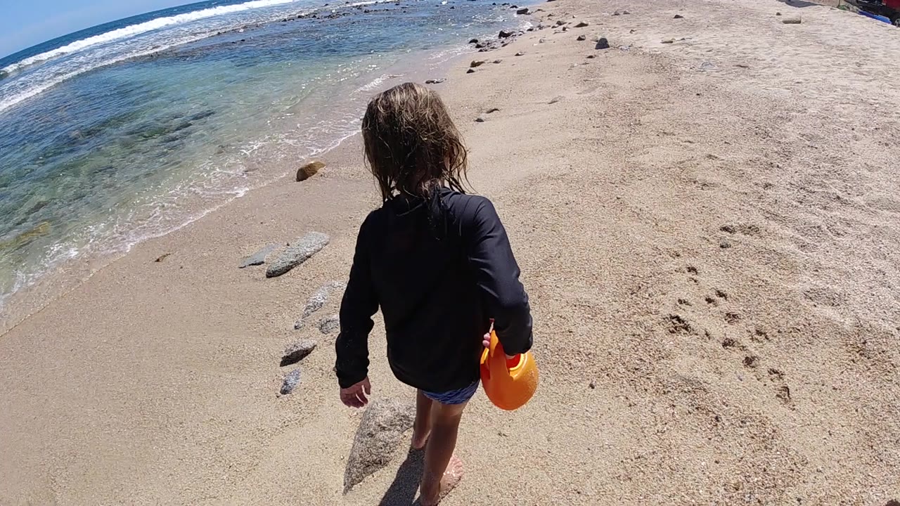 Child walking on a sandy beach beside shallow ocean water